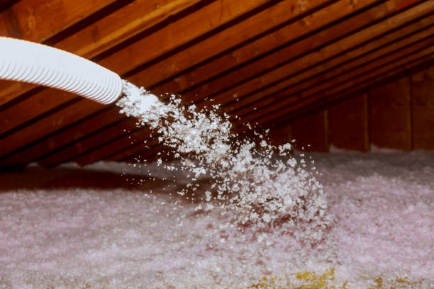 Best Insulation Installation Services in Orchard Grass Hills, KY